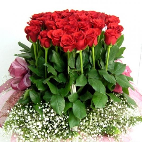 Roses Forest | Flowers in Jordan Delivery (Send Orchids Flowers)